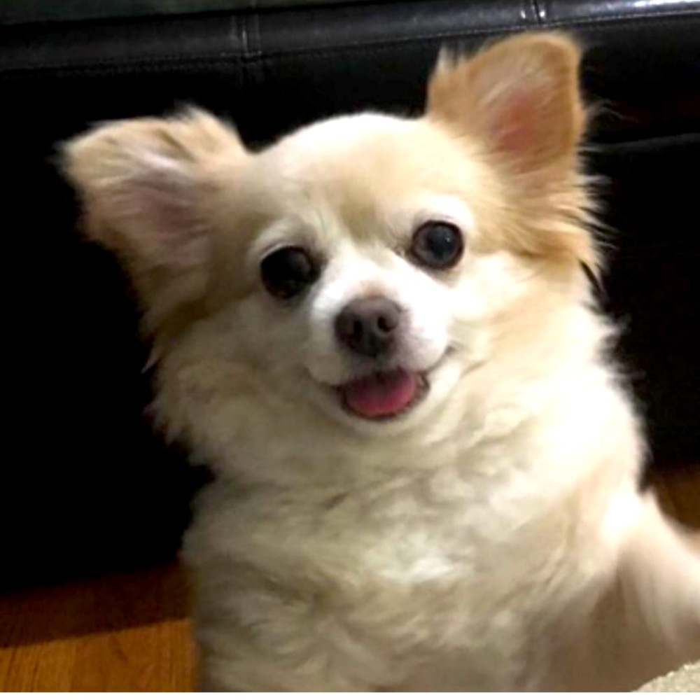 Meet your Posher, Peggy
